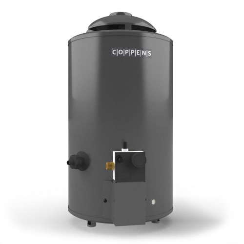 Imagen miniatura Termotanque A Gas Alta Recup Coppens Ttq210gmax C/inf Sup 23l Mg